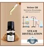 Vetiver    Essential Oil