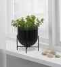 BlackAluminium Tess Pot