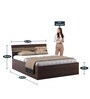 Blaze Queen Size Bed With Box Storage In Choco Walnut Finish