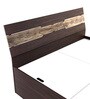Blaze Queen Size Bed With Box Storage In Choco Walnut Finish