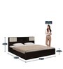 Blaze Queen Size Bed in Wenge Finish with Box Storage
