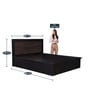 Blazing Queen SizeBed with Storage in Cairo Walnut & Dark Ebony Finish