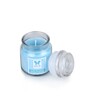 Iris Blue Wax Scented Candles
