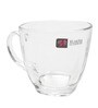 Blinkmax Glass 190 ML Tea Cups