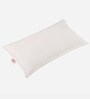 Bliss Fibre 27 x 17 Inch Pillows (Set Of 2)
