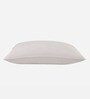 Bliss Fibre 27 x 17 Inch Pillows (Set Of 2)