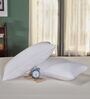 Bliss Fibre 27 x 17 Inch Pillows (Set Of 2)