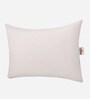 Bliss Fibre 27 x 17 Inch Pillows (Set Of 2)