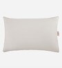 Bliss Fibre 27 x 17 Inch Pillows (Set Of 2)