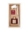 Bliss Reed Diffuser With 100Ml Oil And Reed Stikcs