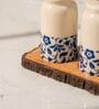 Set of 2 Bloom & Bark Salt & Pepper Set Ceramic Shakers with Acacia Wood Stand