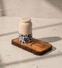 Set of 2 Bloom & Bark Salt & Pepper Set Ceramic Shakers with Acacia Wood Stand