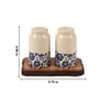 Set of 2 Bloom & Bark Salt & Pepper Set Ceramic Shakers with Acacia Wood Stand