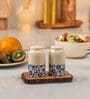 Set of 2 Bloom & Bark Salt & Pepper Set Ceramic Shakers with Acacia Wood Stand