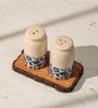 Set of 2 Bloom & Bark Salt & Pepper Set Ceramic Shakers with Acacia Wood Stand