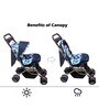 Bloom Stroller for New Born 0-3 Years In Blue Colour
