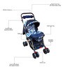 Bloom Stroller for New Born 0-3 Years In Blue Colour