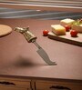 Equi Edge Cheese Knife(Gold)