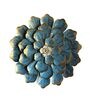 Blossom Flower Blue Metal Wall Art