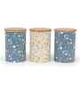 Blue & Cream Floral Printed Metal Airtight Containers With Wooden Lids Set Of 3