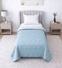 Blue & White Cotton Floral 350 GSM Single Bed Reversible Dohar