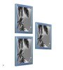 Blue  Photo frames Set Of 3 Decoration