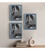 Blue  Photo frames Set Of 3 Decoration