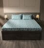 Blue 144TC Cotton Flat Super King Bedsheet with 2 Pillow Covers