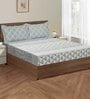 Blue Abstract 200 TC Cotton Double Bedsheet with 2 Pillow covers