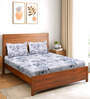 Blue Floral 200 TC Microfiber King Bedsheet with 2 Pillow Covers