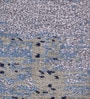 Blue Anil Modern Pile 4X6 Ft Carpet