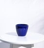 Blue Ceramic Apple Shape Desk Pot Planter