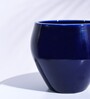 Blue Ceramic Apple Shape Desk Pot Planter