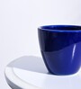Blue Ceramic Apple Shape Desk Pot Planter
