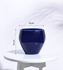 Blue Ceramic Apple Shape Desk Pot Planter