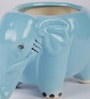 Blue Ceramic Elephant Shape Flower Pot