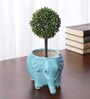 Blue Ceramic Elephant Shape Flower Pot