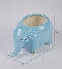 Blue Ceramic Elephant Shape Flower Pot