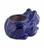 Blue Ceramic Frog Shape Planter