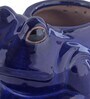 Blue Ceramic Frog Shape Planter