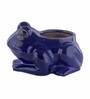 Blue Ceramic Frog Shape Planter