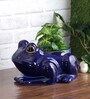 Blue Ceramic Frog Shape Planter