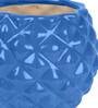 Blue Ceramic Pineapple Bowl Shape Planter
