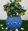 Blue Ceramic Pineapple Bowl Shape Planter