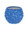 Blue Ceramic Pineapple Bowl Shape Planter