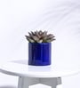 Blue Ceramic Pipe Shape Desk Pot Desk Pot