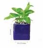 Blue Ceramic Square Shape Desk Pot Desk Pot