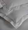 Blue Check 200 TC Cotton King Size Bed Sheet with 2 Pillow Covers 24 Collection