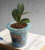 Blue Clay Blue Pottery Planter