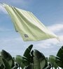 Green Banana Double Cloth Checkered 300 GSM Bath Towel